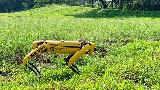 سنگاپور: پارکس میں روبوٹک کتے تعینات کرنیکا فیصلہ