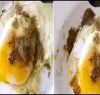انڈے کے اوپر سے کالی مرچ ہٹائی گئی تو کیا ہوا؟