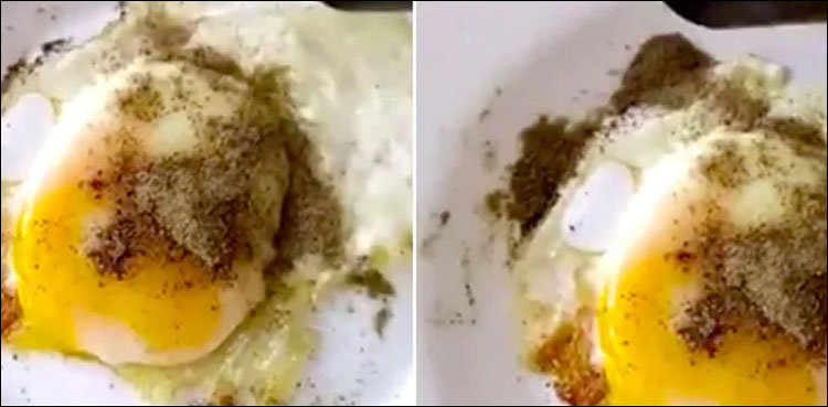 انڈے کے اوپر سے کالی مرچ ہٹائی گئی تو کیا ہوا؟ ویڈیو وائرل