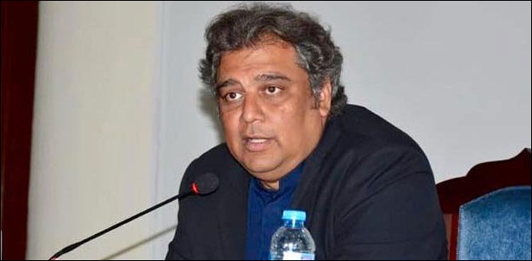 وفاقی وزیر علی زیدی نے کراچی والوں‌ خوشی کی نوید سنادی