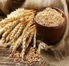 وفاقی حکومت نے روس سے مزید2 لاکھ ٹن گندم درآمد کرنے کی منظوری دیدی
