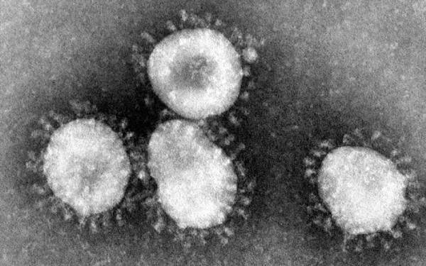 بلوچستان میں کورونا وائرس کے کیسز میں مسلسل اضافہ دیکھنے میں آ رہا ہے
