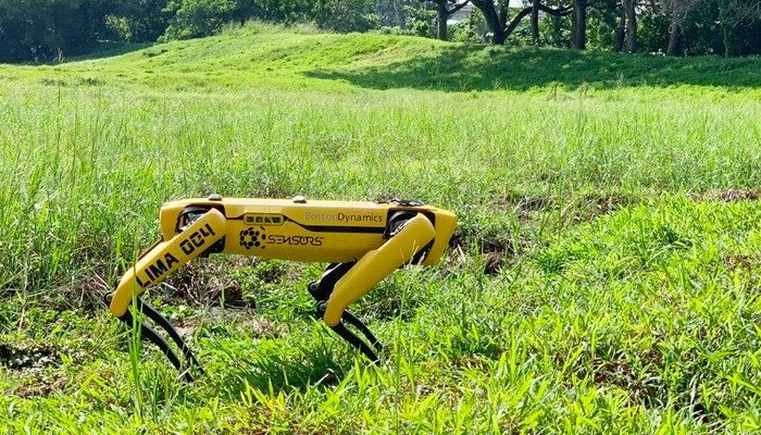سنگاپور: پارکس میں روبوٹک کتے تعینات کرنیکا فیصلہ