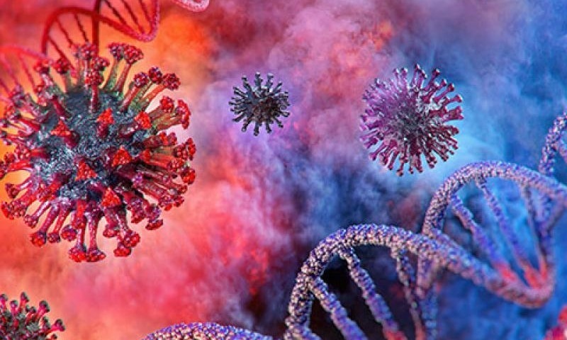 نئے نوول کورونا وائرس کے خلاف مدافعتی ردعمل کس حد تک مددگار؟